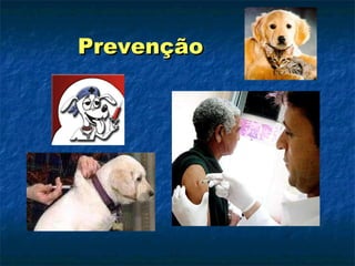 Prevenção   