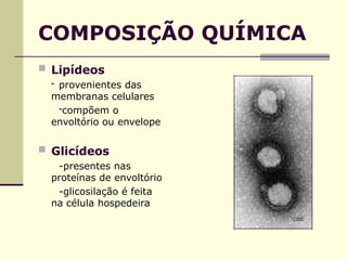 COMPOSIÇÃO QUÍMICA
 Lipídeos
- provenientes das
membranas celulares
-compõem o
envoltório ou envelope
 Glicídeos
-presentes nas
proteínas de envoltório
-glicosilação é feita
na célula hospedeira
 