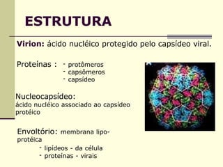 ESTRUTURA
Virion: ácido nucléico protegido pelo capsídeo viral.
Proteínas : - protômeros
- capsômeros
- capsídeo
Nucleocapsídeo:
ácido nucléico associado ao capsídeo
protéico
Envoltório: membrana lipo-
protéica
- lipídeos - da célula
- proteínas - virais
 