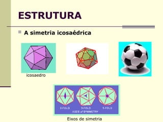 ESTRUTURA
 A simetria icosaédrica
icosaedro
Eixos de simetria
 