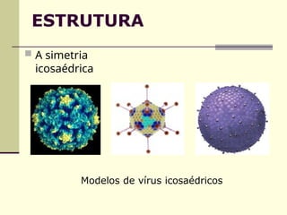 Modelos de vírus icosaédricos
 A simetria
icosaédrica
ESTRUTURA
 