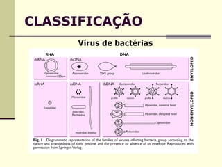 CLASSIFICAÇÃO
Vírus de bactérias
 