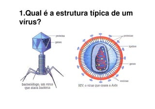 1.Qual é a estrutura típica de um
vírus?
 