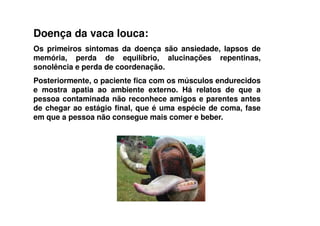 Doença da vaca louca:
Os primeiros sintomas da doença são ansiedade, lapsos de
memória, perda de equilíbrio, alucinações repentinas,
sonolência e perda de coordenação.
Posteriormente, o paciente fica com os músculos endurecidos
e mostra apatia ao ambiente externo. Há relatos de que a
pessoa contaminada não reconhece amigos e parentes antes
de chegar ao estágio final, que é uma espécie de coma, fase
em que a pessoa não consegue mais comer e beber.
 