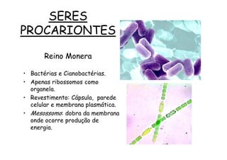SERES
PROCARIONTES

       Reino Monera

• Bactérias e Cianobactérias.
• Apenas ribossomos como
  organela.
• Revestimento: Cápsula, parede
  celular e membrana plasmática.
• Mesossomo: dobra da membrana
  onde ocorre produção de
  energia.
 