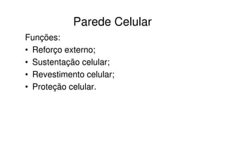 Parede Celular
Funções:
• Reforço externo;
• Sustentação celular;
• Revestimento celular;
• Proteção celular.
 