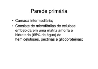 Parede primária
• Camada intermediária;
• Consiste de microfibrilas de celulose
  embebida em uma matriz amorfa e
  hidratada (65% de água) de
  hemiceluloses, pectinas e glicoproteinas;
 