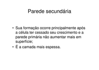 Parede secundária


• Sua formação ocorre principalmente após
  a célula ter cessado seu crescimento e a
  parede primária não aumentar mais em
  superfície;
• É a camada mais espessa.
 