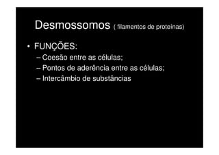 Desmossomos ( filamentos de proteínas)
• FUNÇÕES:
 – Coesão entre as células;
 – Pontos de aderência entre as células;
 – Intercâmbio de substâncias
 