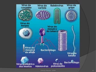 Ciências Naturais - ICRM 10
 