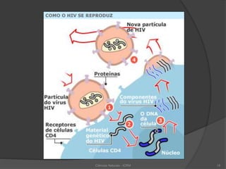 Ciências Naturais - ICRM 15
 