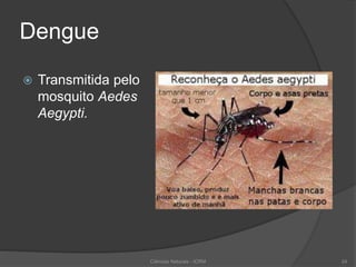 Dengue
 Transmitida pelo
mosquito Aedes
Aegypti.
Ciências Naturais - ICRM 24
 