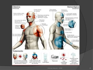 Ciências Naturais - ICRM 25
 