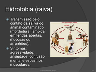Hidrofobia (raiva)
 Transmissão pelo
contato da saliva do
animal contaminado
(mordedura, lambida
em feridas abertas,
mucosas ou
arranhões).
 Sintomas:
agressividade,
ansiedade, confusão
mental e espasmos
musculares.
Ciências Naturais - ICRM 32
 