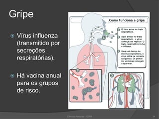 Gripe
 Vírus influenza
(transmitido por
secreções
respiratórias).
 Há vacina anual
para os grupos
de risco.
Ciências Naturais - ICRM 34
 