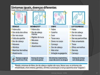 Ciências Naturais - ICRM 37
 