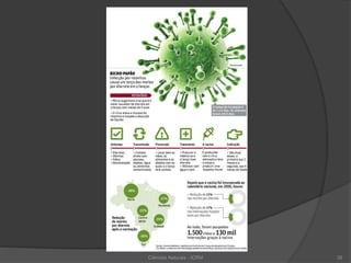 Ciências Naturais - ICRM 39
 