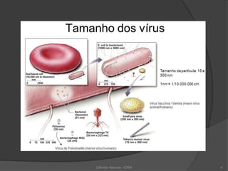 Ciências Naturais - ICRM 4
 