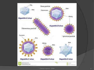 Ciências Naturais - ICRM 41
 