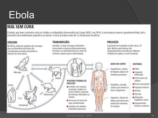 Ebola
Ciências Naturais - ICRM 45
 