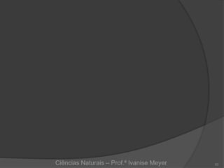 Ciências Naturais – Prof.ª Ivanise Meyer 53
 