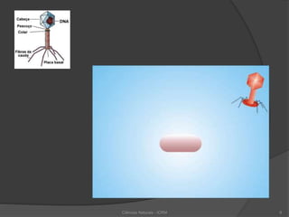 Ciências Naturais - ICRM 8
 