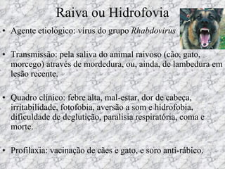 Raiva ou Hidrofovia Agente etiológico: vírus do grupo  Rhabdovirus Transmissão: pela saliva do animal raivoso (cão, gato, morcego) através de mordedura, ou, ainda, de lambedura em lesão recente.  Quadro clínico: febre alta, mal-estar, dor de cabeça, irritabilidade, fotofobia, aversão a som e hidrofobia, dificuldade de deglutição, paralisia respiratória, coma e morte. Profilaxia: vacinação de cães e gato, e soro anti-rábico. 