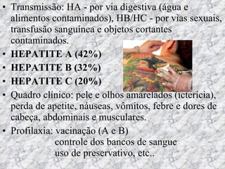 Transmissão: HA - por via digestiva (água e alimentos contaminados), HB/HC - por vias sexuais, transfusão sanguínea e objetos cortantes contaminados. HEPATITE A (42%) HEPATITE B (32%) HEPATITE C (20%) Quadro clínico: pele e olhos amarelados (icterícia), perda de apetite, náuseas, vômitos, febre e dores de cabeça, abdominais e musculares. Profilaxia: vacinação (A e B)   controle dos bancos de sangue   uso de preservativo, etc.. 