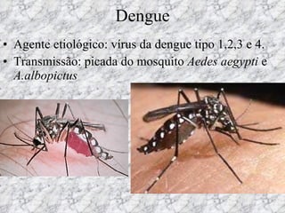 Dengue Agente etiológico: vírus da dengue tipo 1,2,3 e 4. Transmissão: picada do mosquito  Aedes aegypti  e  A.albopictus 