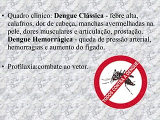 Quadro clínico:  Dengue Clássica  - febre alta, calafrios, dor de cabeça, manchas avermelhadas na pele, dores musculares e articulação, prostação.  Dengue Hemorrágica  - queda de pressão arterial, hemorragias e aumento do fígado. Profilaxia:combate ao vetor. 