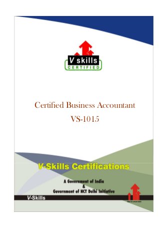 Certified Business Accountant
VS-1015
 