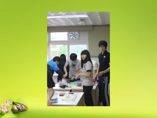 요리대결 맛 Vs 맛