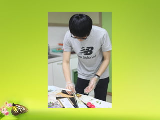 요리대결 맛 Vs 맛