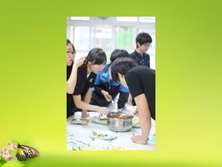 요리대결 맛 Vs 맛