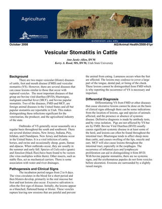 October 2008 AG/Animal Health/2008-01pr 
Vesicular Stomatitis in Cattle 
Ann Justic-Allen, DVM 
Kerry A. Rood, MS, DVM, Utah State University 
Background 
There are two major vesicular (blister) diseases 
of cattle, foot and mouth disease (FMD) and vesicular 
stomatitis (VS). However, there are several diseases that 
can cause lesions similar to those that occur with 
ruptured vesicles. The most important diseases of that 
group are bovine viral diarrhea (BVD), bluetongue, 
malignant catarrhal fever (MCF), and bovine papular 
stomatitis. Two of the diseases, FMD and MCF, are 
foreign animal diseases in the United States and all but 
papular stomatitis are reportable in Utah. This makes 
distinguishing these infections significant for the 
veterinarian, the producer, and the agricultural industry 
of the state. 
Outbreaks of VS generally occur seasonally on a 
regular basis throughout the south and southwest. There 
are several distinct strains, New Jersey, Indiana, Piry, 
Isfahan, and Chandipura. New Jersey and Indiana occur 
in the United States. It is a viral infection of cattle, 
horses, and swine and occasionally sheep, goats, llamas 
and alpacas. When outbreaks occur, they are usually in 
the summer and early fall. Species of Culicoides (gnats) 
and Simulum (black flies) have been found to be vectors 
(the virus multiplies within them). Other insects, such as 
stable flies, act as mechanical carriers. There is some 
association with water and river drainages. 
Pathogenesis and Clinical Signs 
The incubation period ranges from 2 to 8 days. 
The virus circulates in the blood for a short period and 
then blisters develop, primarily in the oral mucosa but 
foot and teat lesions also occur. Excessive salivation is 
often the first sign of disease. Initially, the lesions appear 
as a blanched, flattened bump or blister. These vesicles 
rupture leaving raw erosions that are painful and prevent 
the animal from eating. Lameness occurs when the feet 
are affected. The lesions may coalesce to cover a large 
part of the tongue, dental pad, or lining of the cheek. 
These lesions cannot be distinguished from FMD which 
is why reporting the occurrence of VS is necessary and 
important. 
Differential Diagnosis 
Differentiating VS from FMD or other diseases 
that cause ulcerative lesions cannot be done on the basis 
of clinical signs although there can be some indications 
from the location of lesions, age and species of animals 
affected, and the presence or absence of systemic 
disease. Definitive diagnosis is made by antibody tests, 
and by virus isolation. Pigs are not affected by VS but 
are by FMD. Bovine Viral Diarrhea (BVD) usually 
causes significant systemic disease in at least some of 
the herd, and lesions can often be found throughout the 
intestinal tract. Bluetongue tends to affect sheep more 
than cattle, and causes swelling of the lips, muzzle and 
ears. MCF will also cause lesions throughout the 
intestinal tract, especially in the esophagus. The 
occurrence of inflamed eyes and lymphocyte 
proliferation can aid in distinguishing it from BVD. 
With bovine papular stomatitis, there are no systemic 
signs, and the erythematous papules do not form vesicles 
before ulceration. Erosions are surrounded by a slightly 
raised margin. 
 