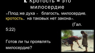 Кротость VS Крутость | PPT