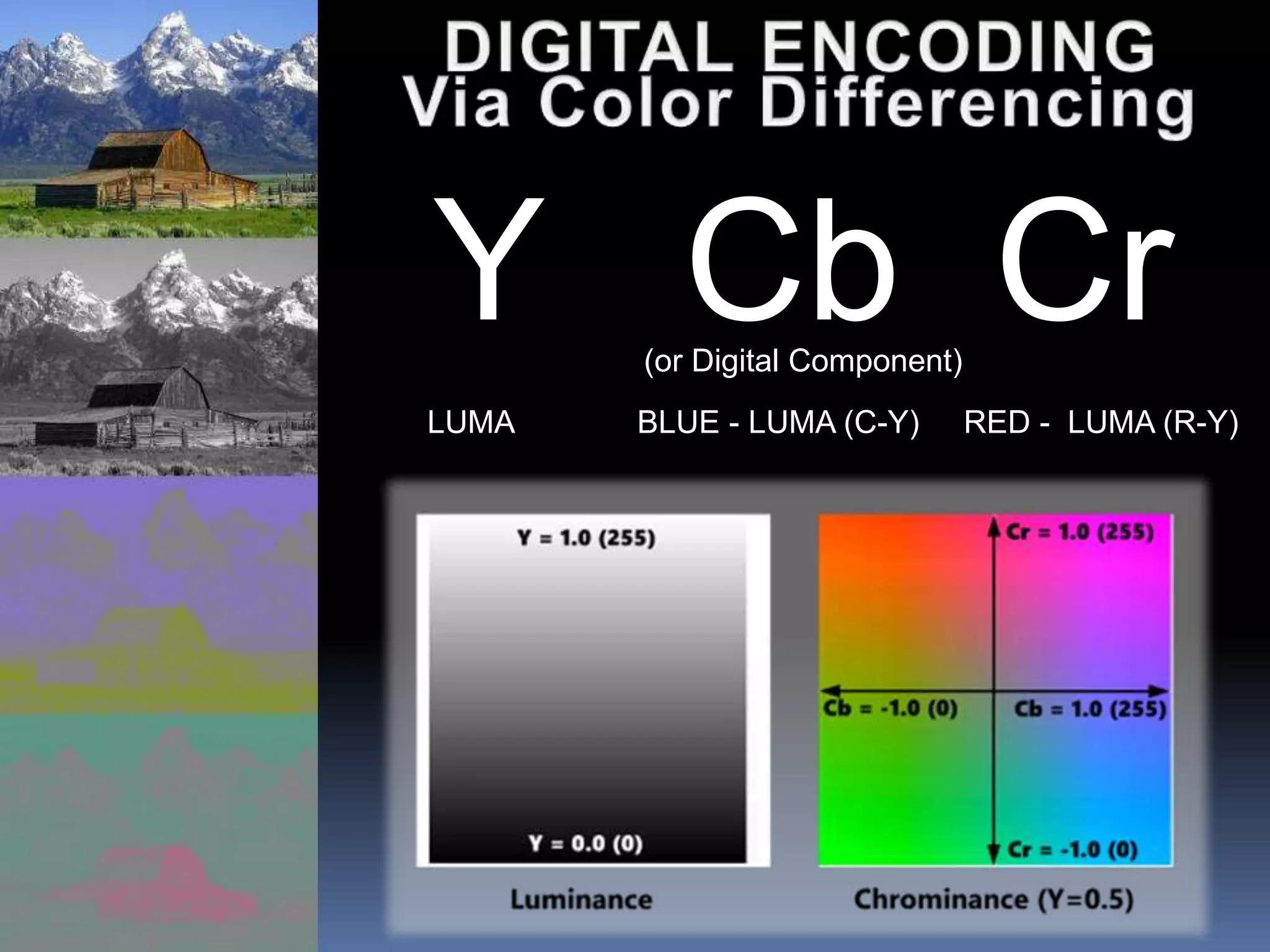 Y Cb Cr
LUMA BLUE - LUMA (C-Y) RED - LUMA (R-Y)
(or Digital Component)
 