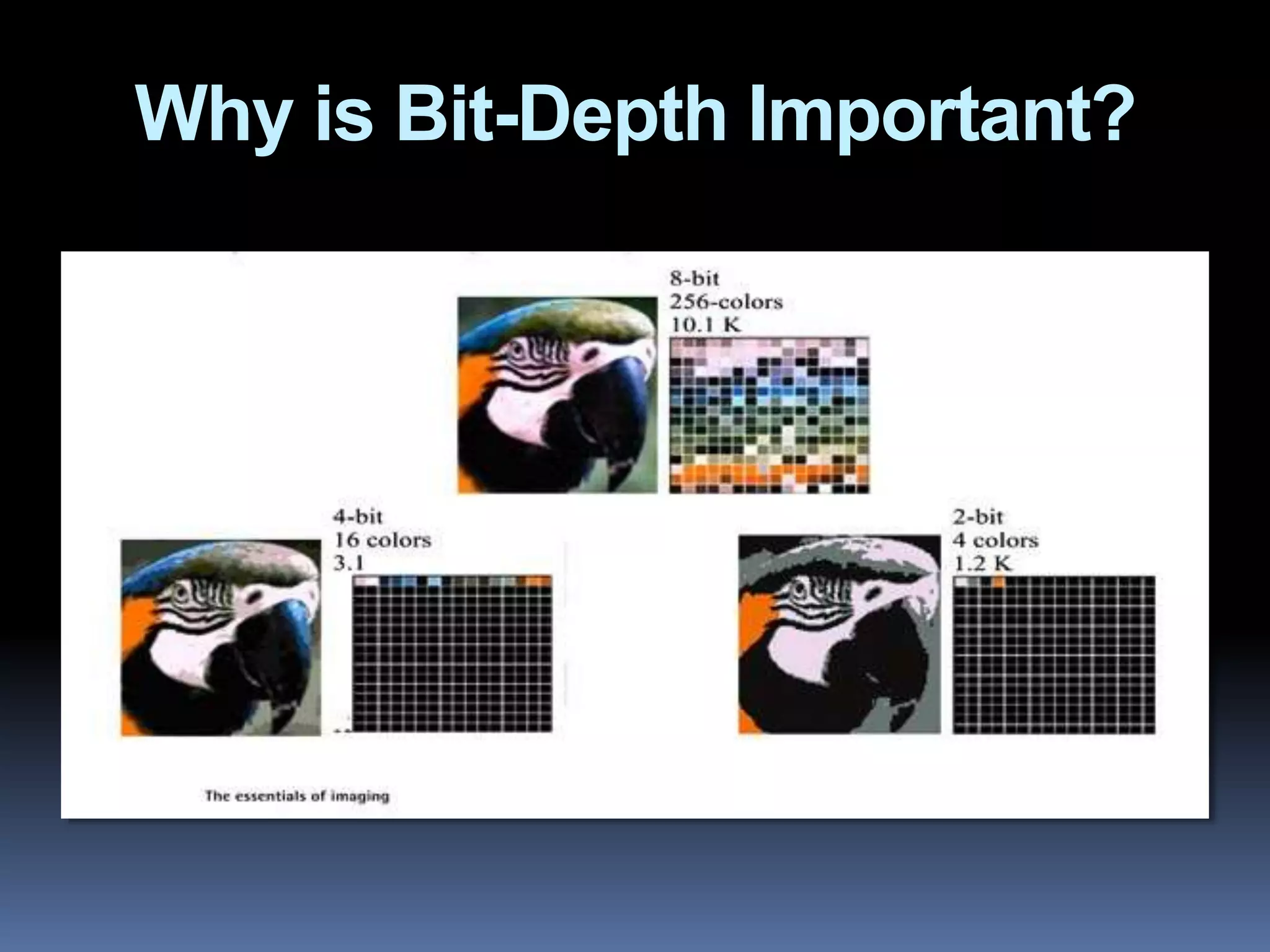 Why is Bit-Depth Important?
 