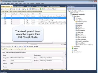 The development team
views the bugs in their
  tool, Visual Studio
 