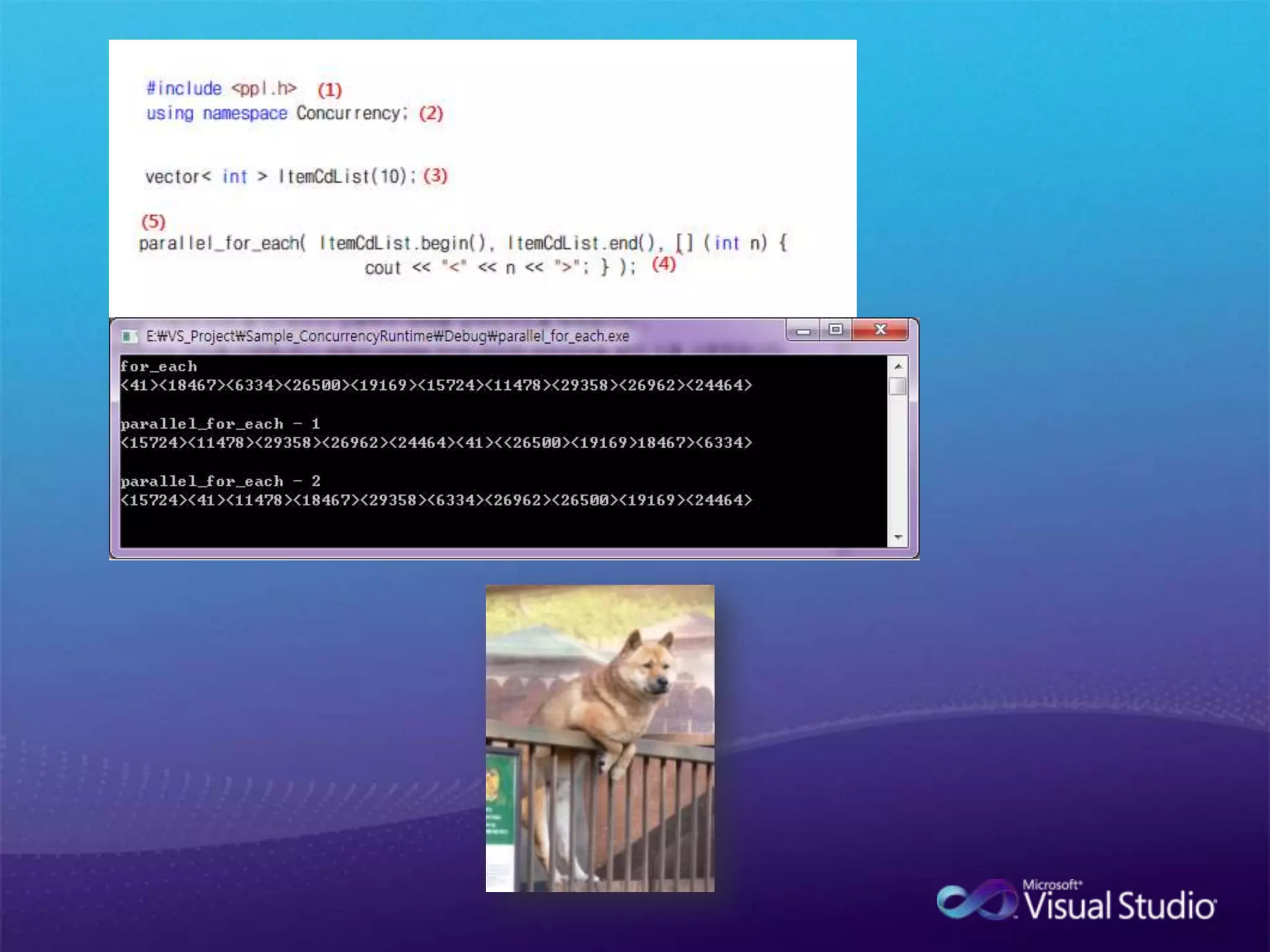 병렬 패턴 라이브러리 ( PPL )