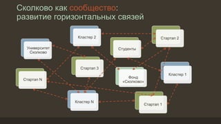 Сколково как сообщество:
развитие горизонтальных связей
Фонд
«Сколково»
Университет
Сколково
Кластер 1
Кластер 2
Кластер N
Стартап 1
Стартап 2
Стартап 3
Стартап N
Студенты
 