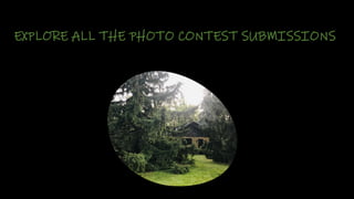 EXPLORE ALL THE PHOTO CONTEST SUBMISSIONS
 