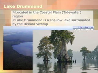 Lake Drummond Located in the Coastal Plain (Tidewater) region Lake Drummond is a shallow lake surrounded by the Dismal Swamp 