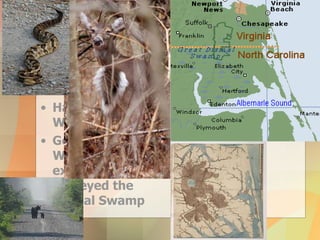 Dismal Swamp Located in the Coastal Plain/Tidewater Region Has a Variety of Wildlife George Washington explored and surveyed the Dismal Swamp 