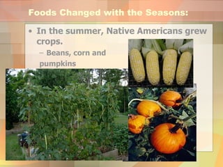 Foods Changed with the Seasons: In the summer, Native Americans grew crops. Beans, corn and  pumpkins 