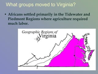 Africans settled primarily in the Tidewater and Piedmont Regions where agriculture required much labor. What groups moved to Virginia? 