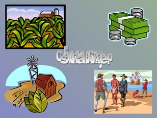 Plantation Economy Cash Crop slave 