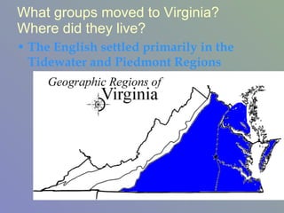What groups moved to Virginia? Where did they live?  The English settled primarily in the Tidewater and Piedmont Regions 