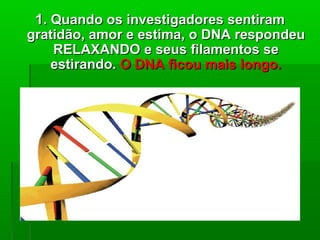 11.. Quando os investigadores sentiramQuando os investigadores sentiram
gratidão, amor e estima, o DNA respondeugratidão, amor e estima, o DNA respondeu
RELAXANDO e seus filamentos seRELAXANDO e seus filamentos se
estirando.estirando. O DNA ficou mais longoO DNA ficou mais longo..
 