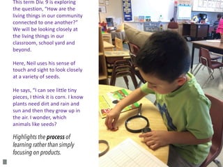 Highlights the process of
learning rather than simply
focusing on products.
This term Div. 9 is exploring
the question, “How are the
living things in our community
connected to one another?”
We will be looking closely at
the living things in our
classroom, school yard and
beyond.
Here, Neil uses his sense of
touch and sight to look closely
at a variety of seeds.
He says, “I can see little tiny
pieces, I think it is corn. I know
plants need dirt and rain and
sun and then they grow up in
the air. I wonder, which
animals like seeds?
 